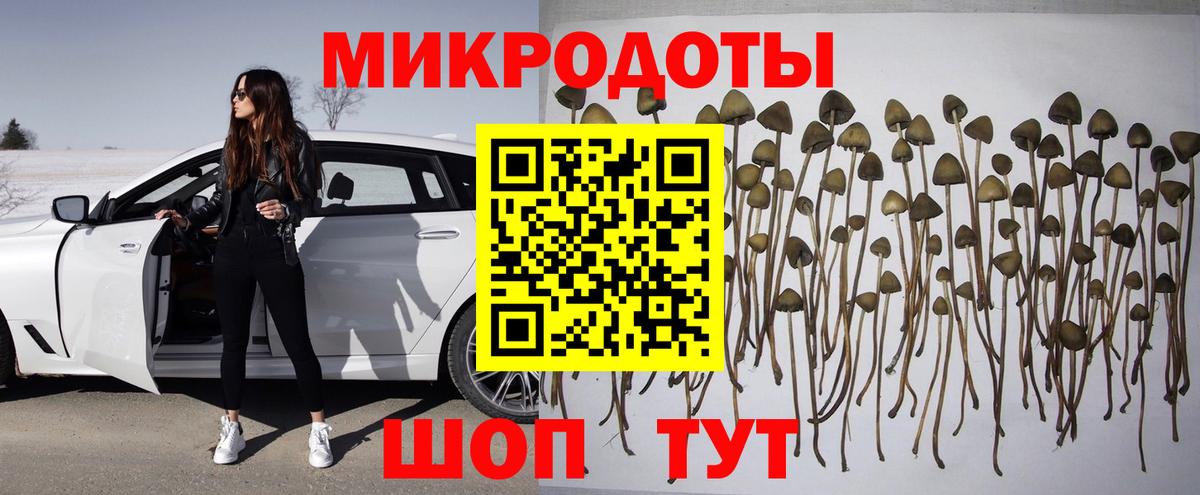 Псилоцибиновые грибы Cubensis Урай