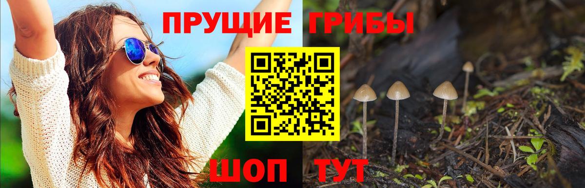 Псилоцибиновые грибы Psilocybe  наркошоп  Урай  Вход с VPN 